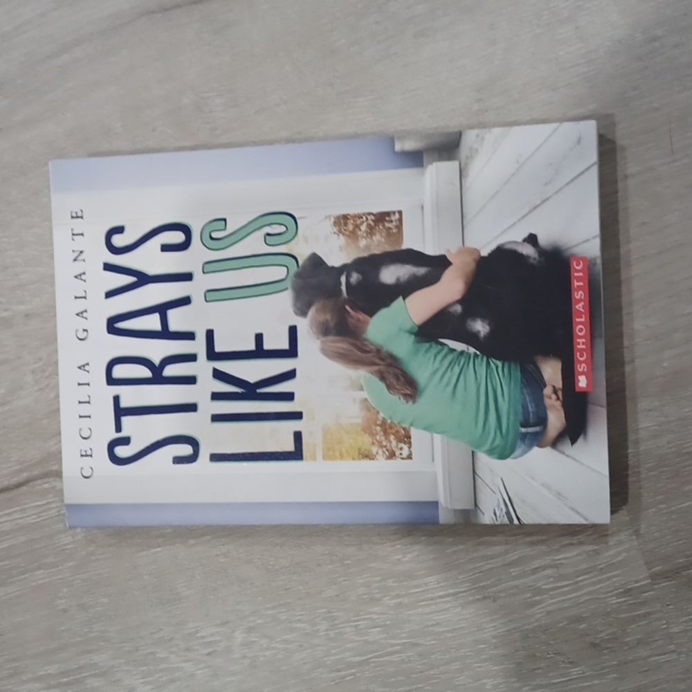 Strays like us paperback